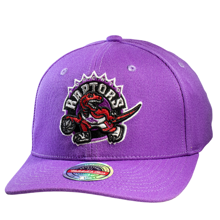 Mitchell & ness NBA Team Ground 20