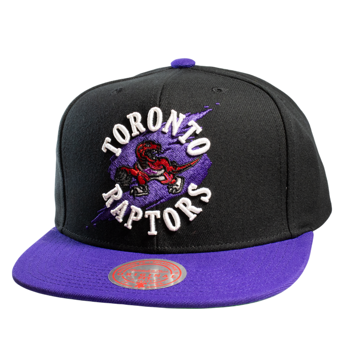 Mitchell & ness NBA Circle Splash HWC Raptors