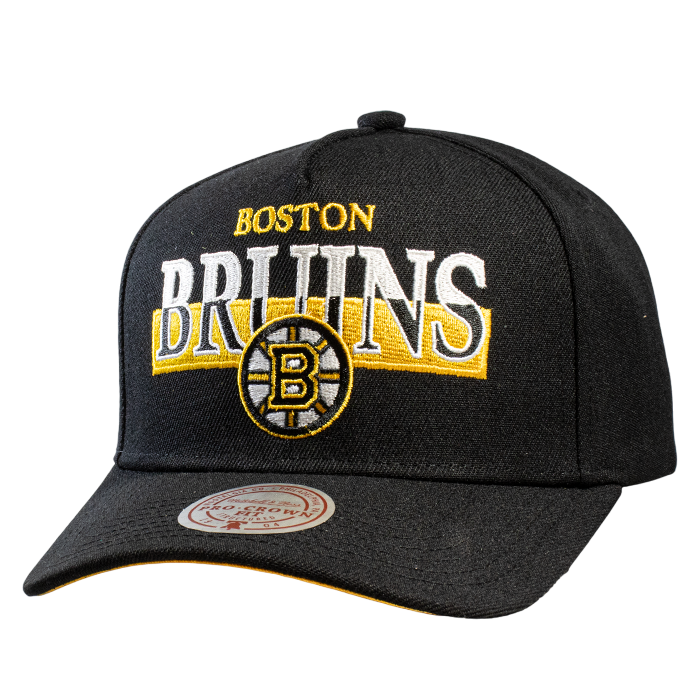 Mitchell & ness NHL Panorec Pro