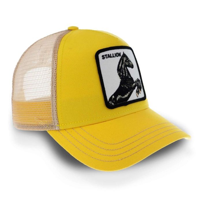 Stallion Yellow