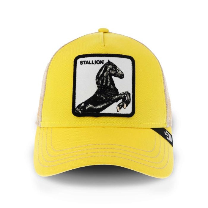Stallion Yellow