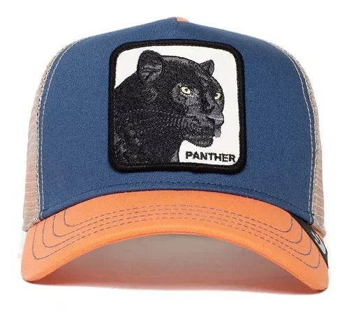 Black Panther Blue/Coral