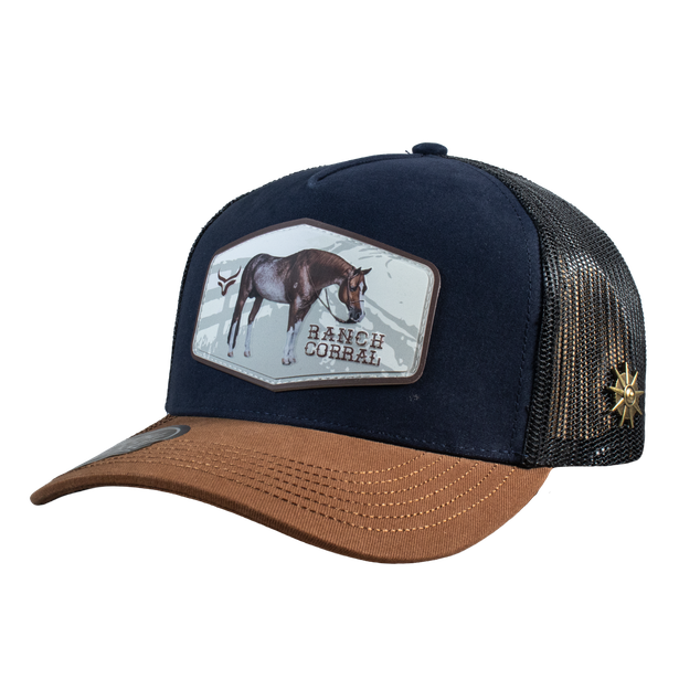 Equus 62