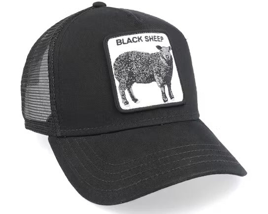 Black Sheep Black