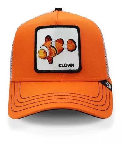 Clown Orange